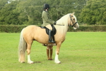 SBM_62633