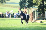 S28 - Nursery Stakes Working Hunter Pony portfolio