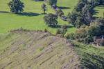 Ilam-23