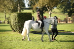 SBM_35651