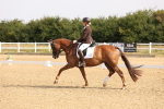 SBM_005225