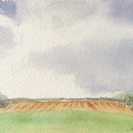 Fields, Suffolk