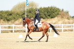 SBM_017006