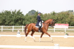 SBM_007379