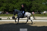 302-EN_TARO_DES_VERNIER-Oliver_Townend-WEDTrotUp+DR portfolio