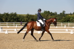 SBM_006431