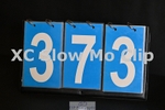 ESP_373