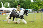 SBM_01160