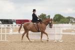 SBM_06412