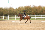 SBM_001950