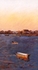 boats at dusk