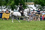 SBM_17464