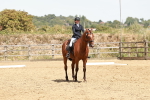 SBM_003583
