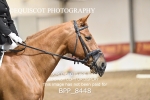 BPP_8448