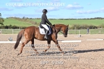BPP_9386