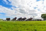 110526-Race 6-Betties Bay-2516