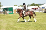 SBM_15531