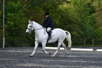 WJ5_8964