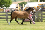 SBM_02407