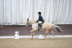 SBM_008028