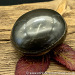 Sold Polished Whitby Ammonite Nodule 034