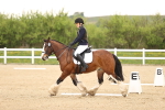 SBM_006478