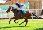 240726-Race 3-Lady Dublin-01258