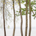 EDGE, INNER BAY - PORT ROWAN