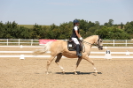 SBM_005041