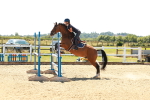 SBM_006933