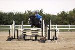 SBM_04302