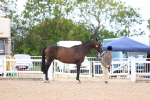 SBM_15268