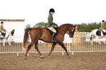 SBM_00673