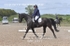 BPP_6577