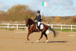 SBM_000484
