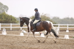 SBM_004785