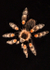 Small Creatures-8