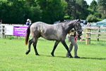 SBM_03355