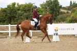 SBM_011820