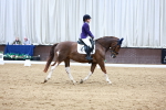 SBM_002458