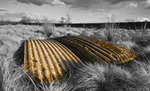 Corrugated sheets 1