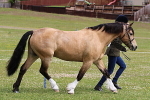 SIAL6422