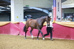 SBM_16018