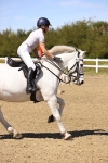 SBM_002660