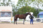 SBM_15273