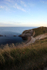 Dorset Coast _DO011