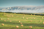 z3477 Bales and Rolling Fog, Atherfield
