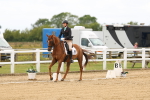 SBM_013379