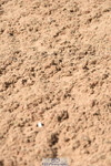 230906A-135336-00517