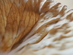 PB0100820157
